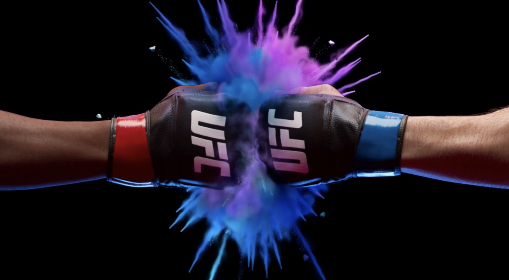 UFC_Meta